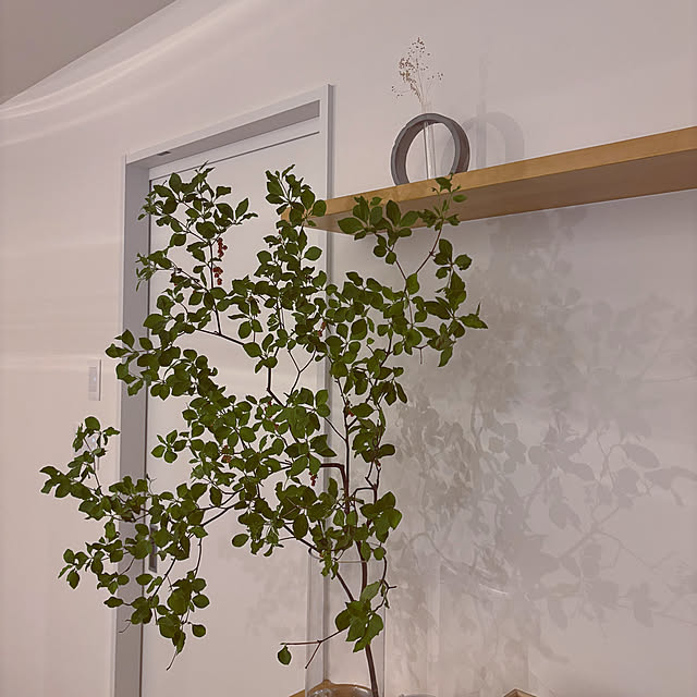 tokimaさんの部屋