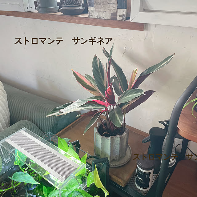 kuroさんの実例写真