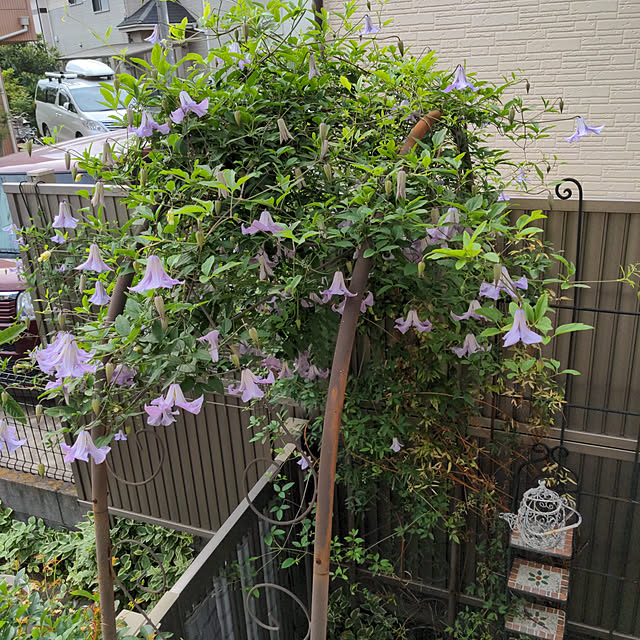 ryo.kotaさんの実例写真