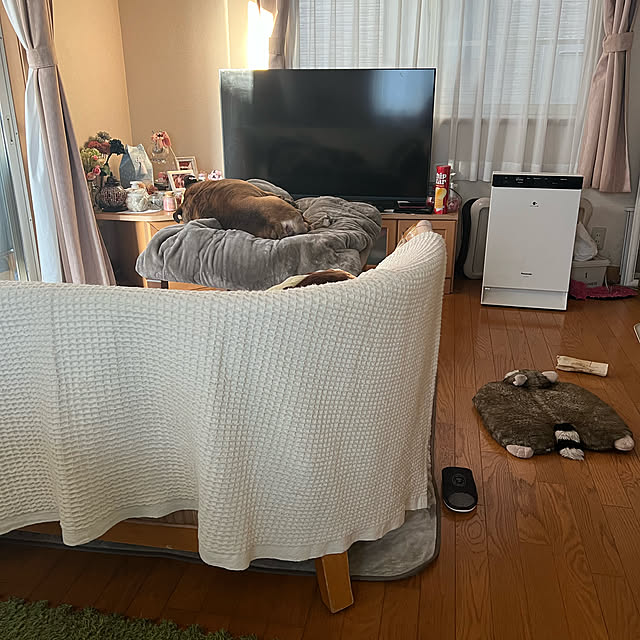 chi_gogaさんの実例写真