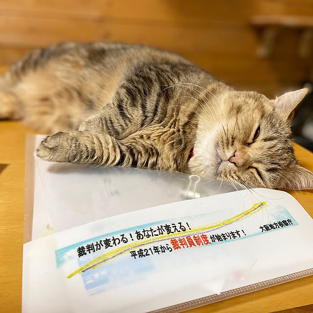 keibooさんの実例写真