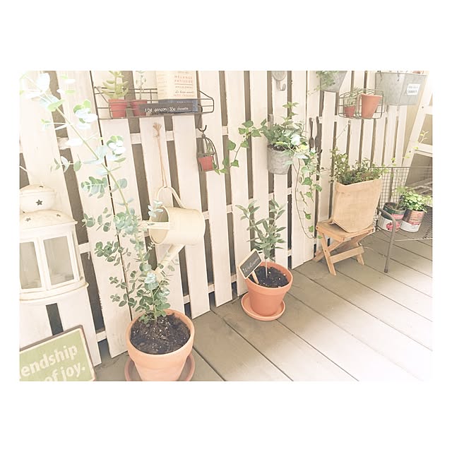 kinakoさんの実例写真