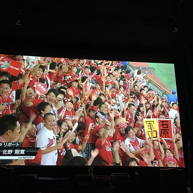 Shigeさんの実例写真