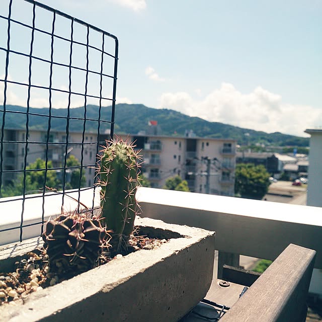 miporin0711さんの実例写真