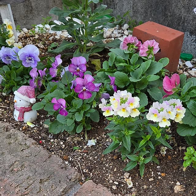 natyenaoさんの実例写真