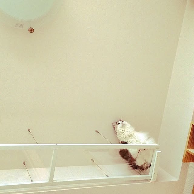 6さんの実例写真
