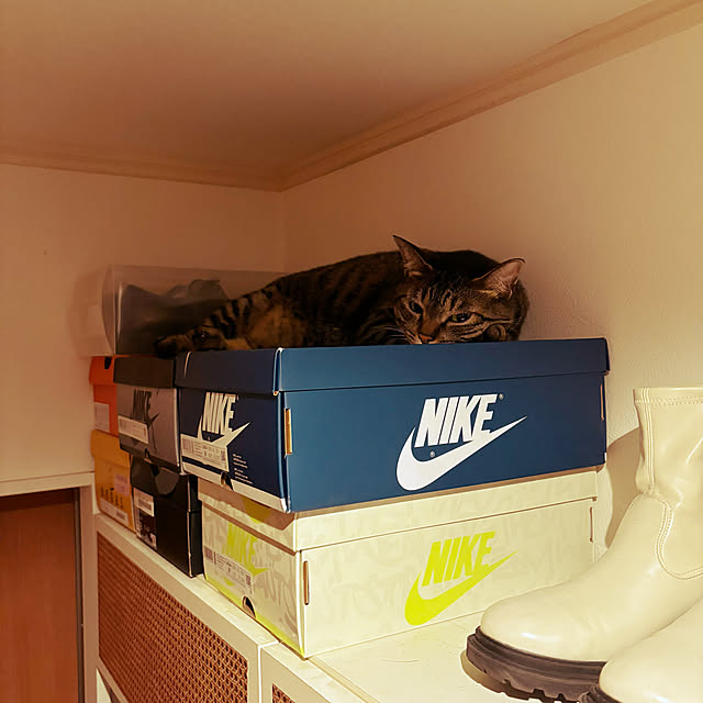 masamasaさんの部屋