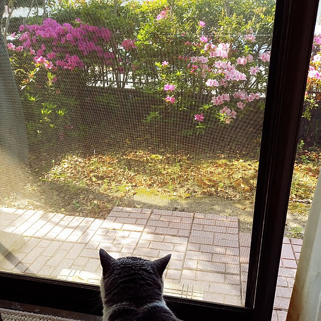 rhuさんの実例写真