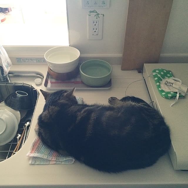 mikomaruさんの実例写真