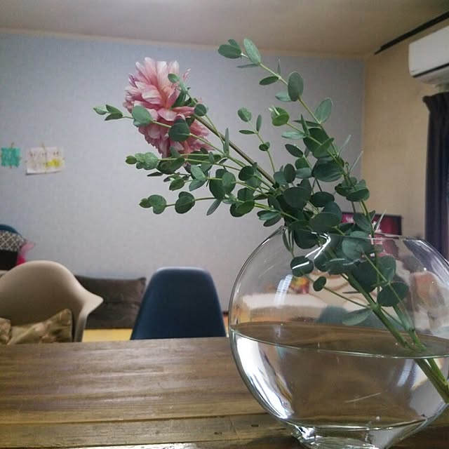 takemiさんの実例写真