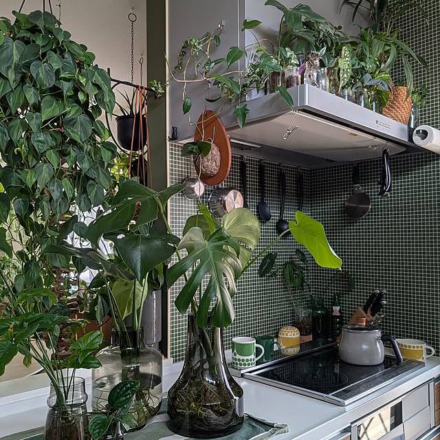 ayamameさんの実例写真