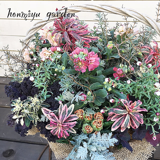 ガーデニング ギャザリング寄せ植えのおすすめ商品とおしゃれな ガーデニング ギャザリング寄せ植えのおすすめ商品とおしゃれな