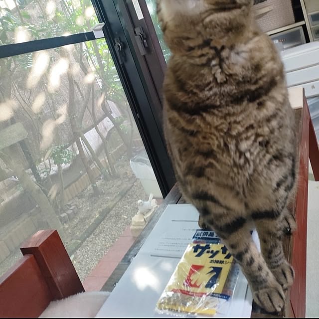 mori_6_12さんの部屋