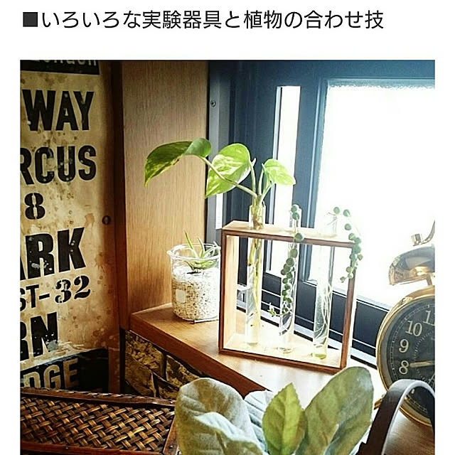 バス/トイレ/掲載していただきました/LINE NEWS掲載/RoomClip mag/ダイソー...などのインテリア実例 - 2018-02-10 20:09:14