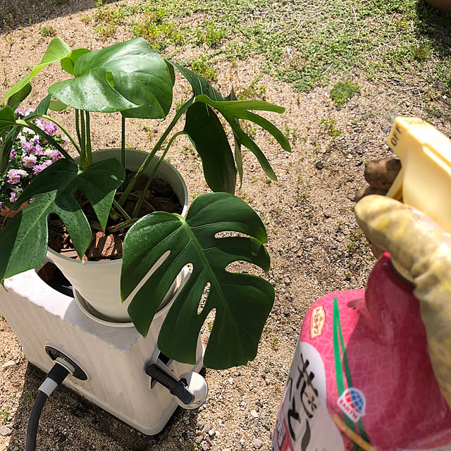 kaorikoさんの実例写真