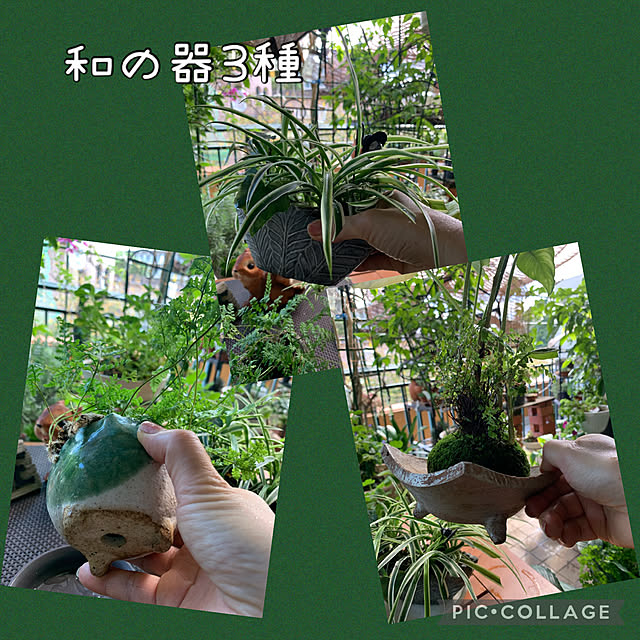 Aqettyさんの実例写真