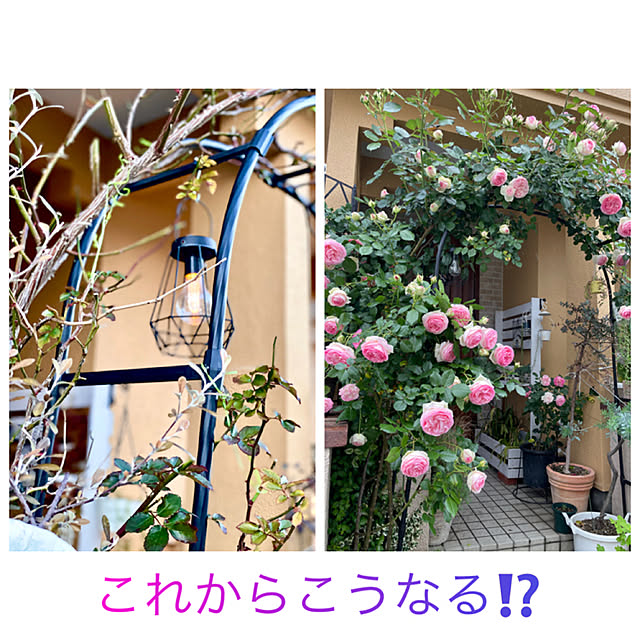 asako.10さんの実例写真