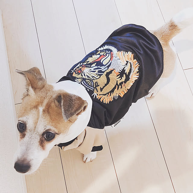 naporeさんの実例写真