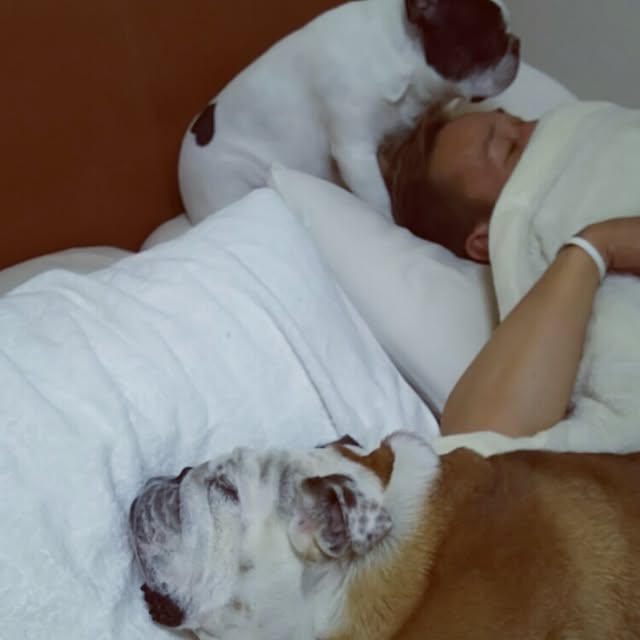 panchobiさんの実例写真