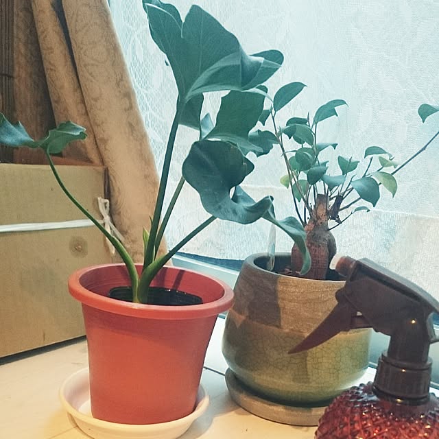 Emiさんの実例写真