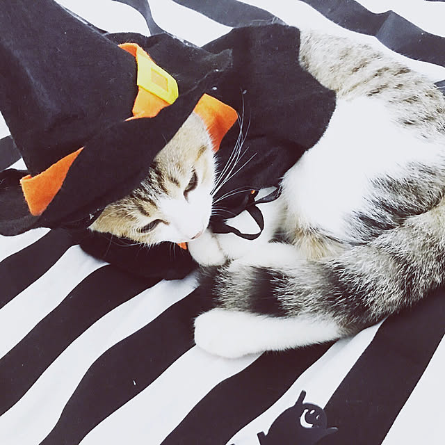 mya___kさんの実例写真