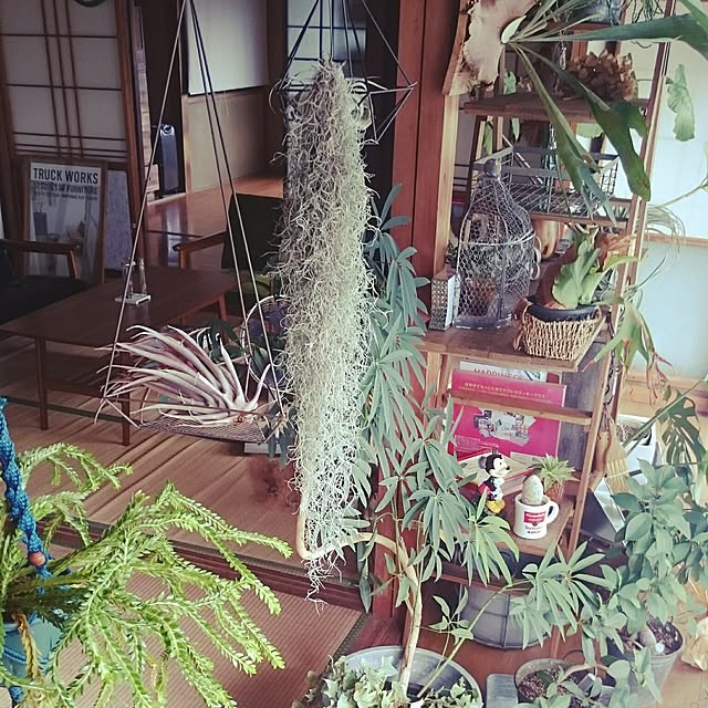 takenさんの実例写真