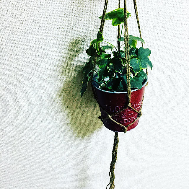 ri1129さんの実例写真