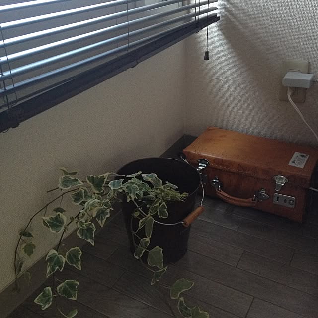 p_nskさんの実例写真