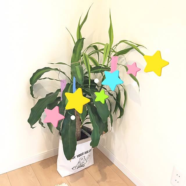 erionさんの実例写真