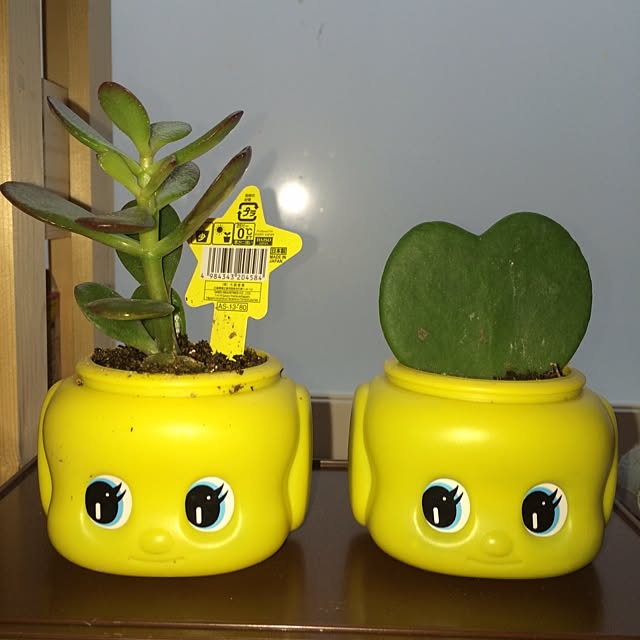 Chiakiさんの実例写真