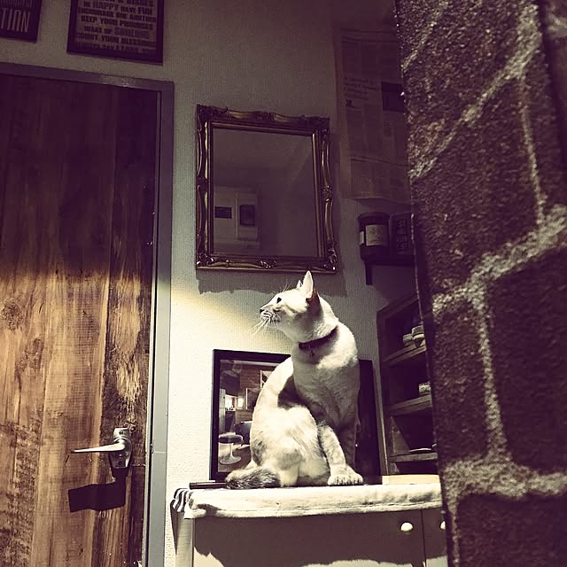 Naoki.さんの実例写真