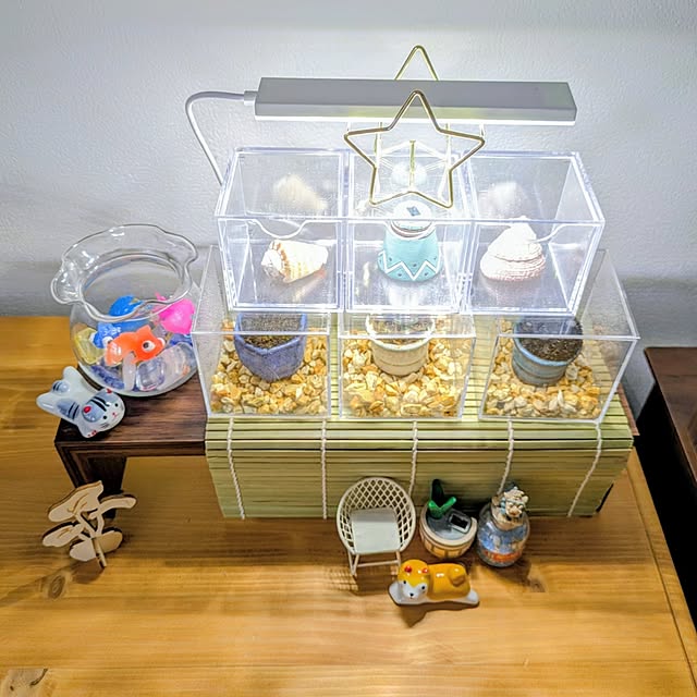 mi-saさんの部屋