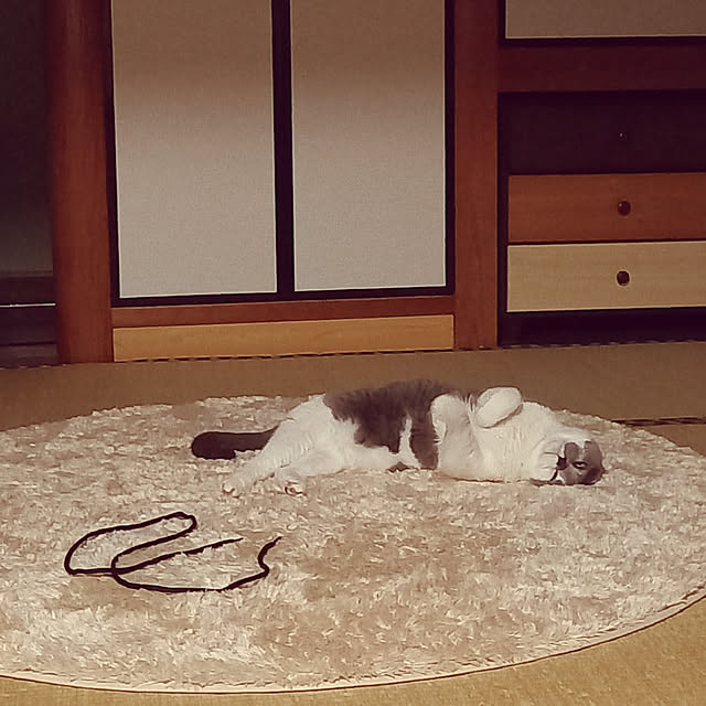 rhuさんの実例写真