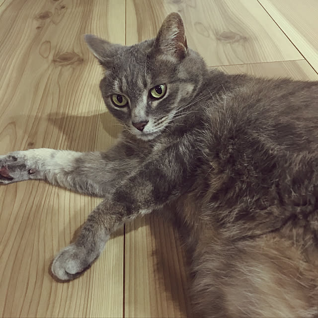 実例写真