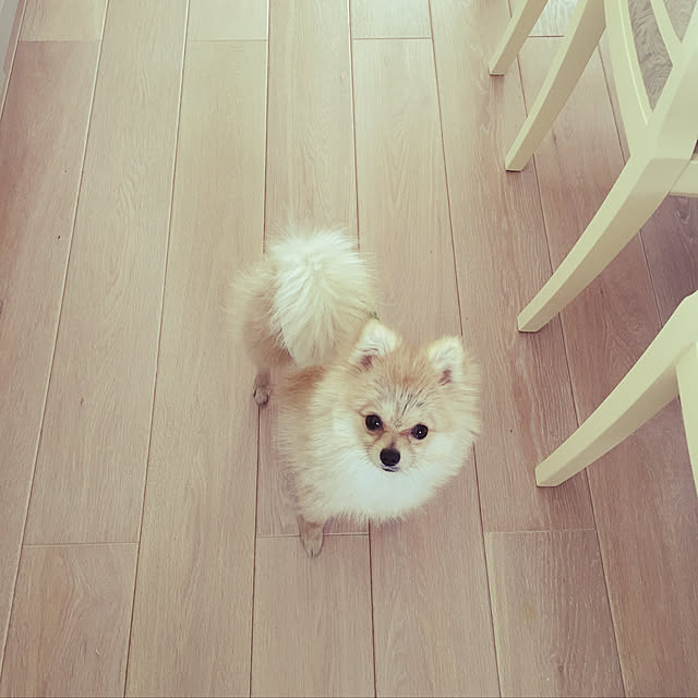MAKARONさんの実例写真
