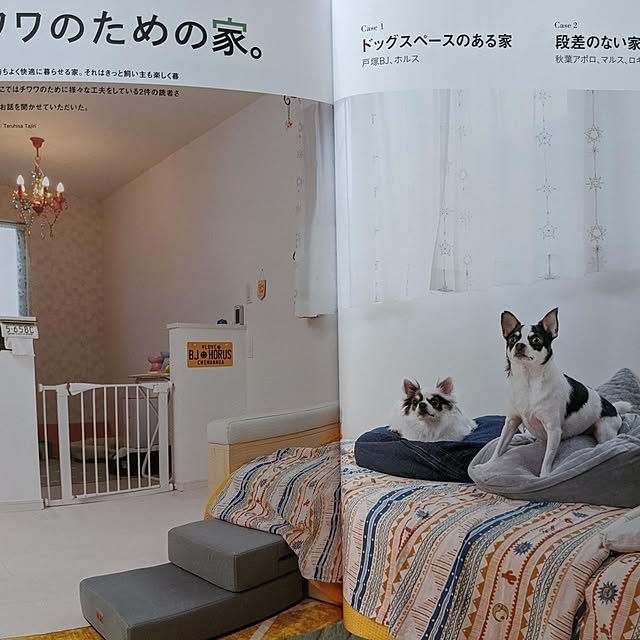 bjhorusさんの実例写真