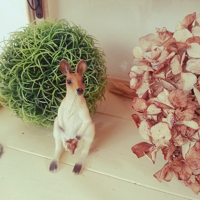 Ayakoさんの実例写真