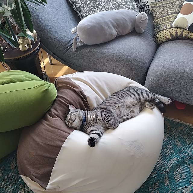 hiro3さんの部屋