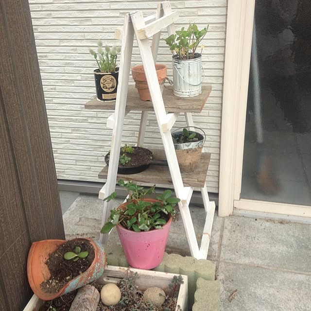 izuhanさんの実例写真