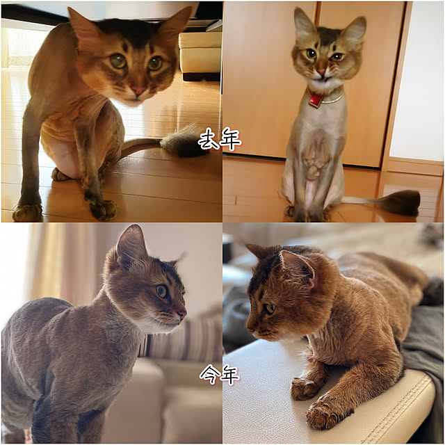 yuri.sさんの実例写真