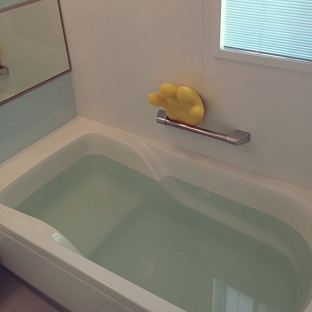 dicekbeetleさんの実例写真