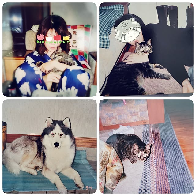 akimameさんの実例写真