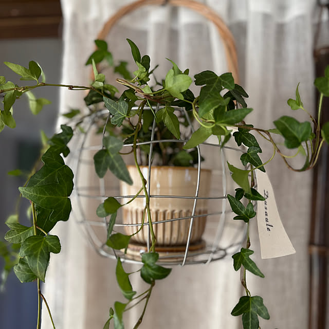 canetteさんの部屋