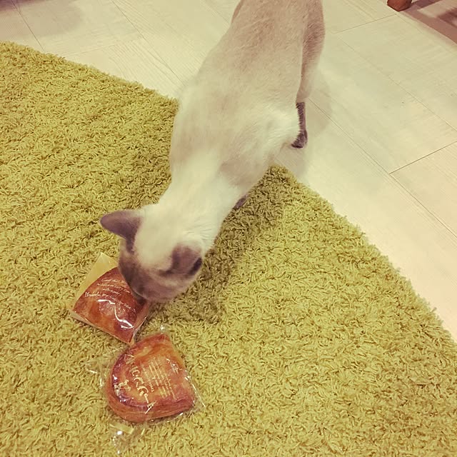 niko-25さんの実例写真