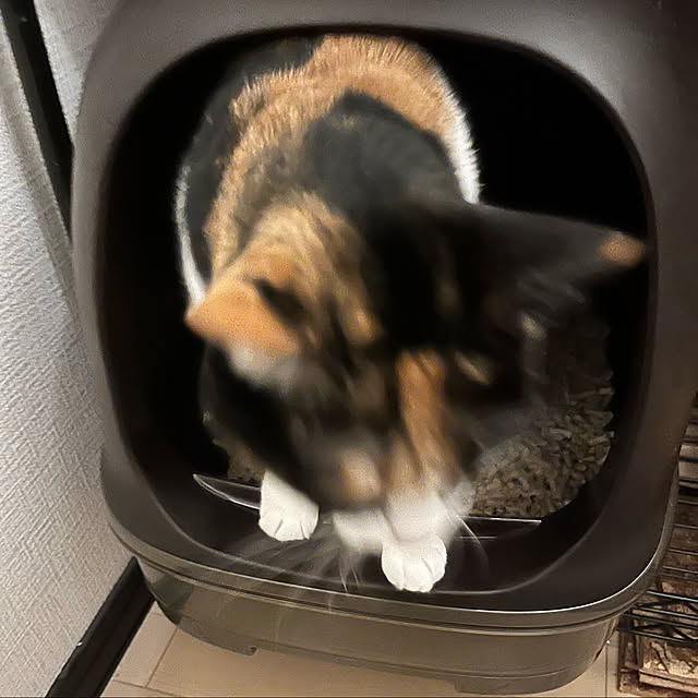 hig.さんの実例写真