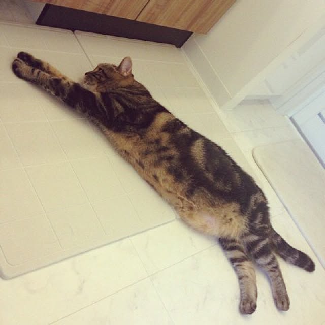 mikomaruさんの実例写真