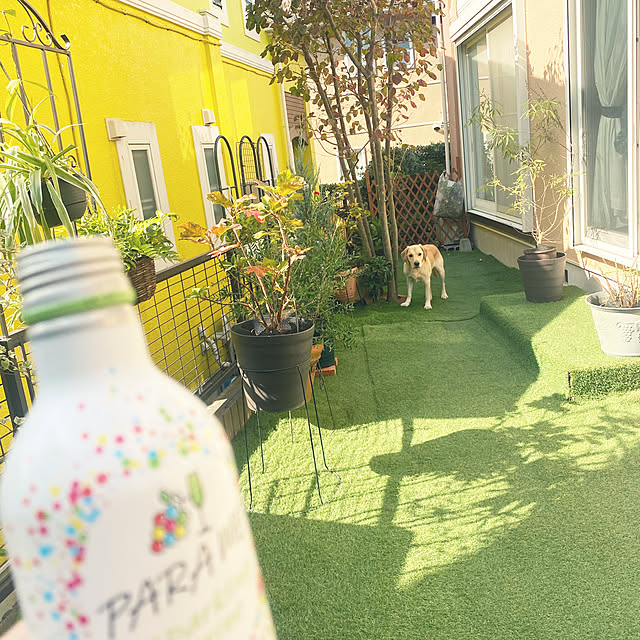cherryさんの実例写真