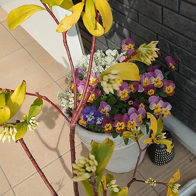 minnieさんの部屋