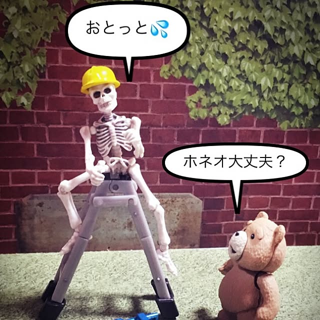 imachanさんの実例写真