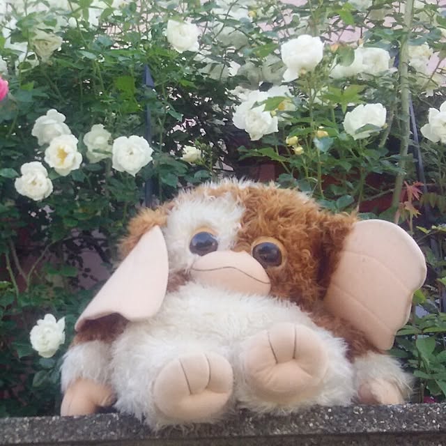 ganamiさんの実例写真